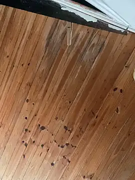 Juliett06 online show from 5, 4, 2026