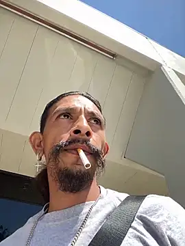 HDGarc online show from 7, 4, 2026