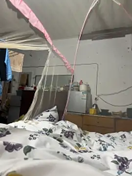 sakunx2028 online show from 8, 4, 2026