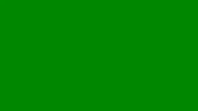 AshleyFerreer online show from 14, 5, 2026