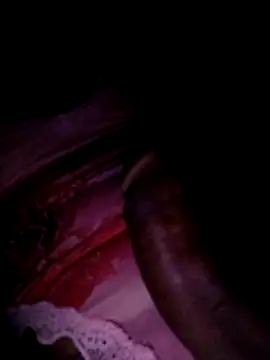 Snapshot of Pipegrandg chatting on 14, 4, 2026 Pipegrandg online show from 14, 4, 2026