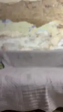 Snapshot of anime221 chatting on 13, 6, 2026 anime221 online show from 13, 6, 2026