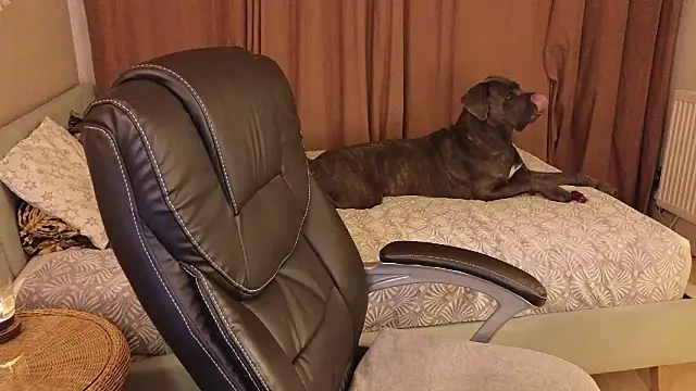 Snapshot of Sharon_Red chatting on 2, 12, 2024 Sharon Red online show from 2, 12, 2024