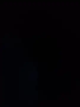 pibetigre  online show from 7, 5, 2026