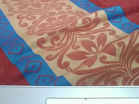 vickyoerhg online show from 11, 5, 2026