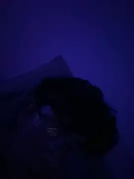 OoRobertooo online show from 1, 5, 2026