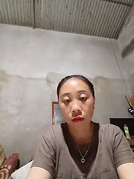 Jinli 01 online show from 25, 7, 2026