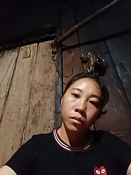 Jinli 01 online show from 28, 7, 2026