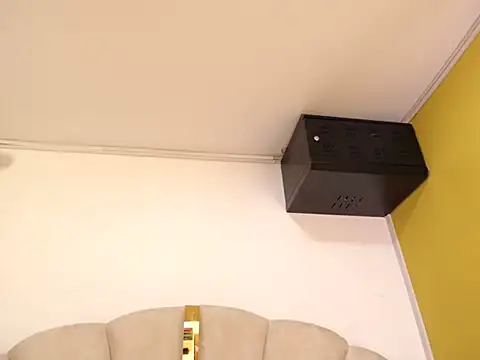 Gingerblis online show from 11, 6, 2026