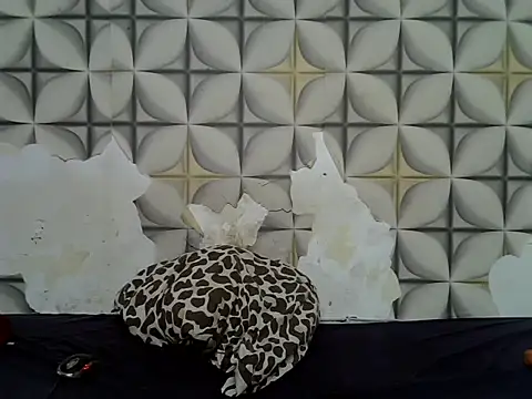 Snapshot of fine_grap chatting on 23, 6, 2026 fine grap online show from 23, 6, 2026