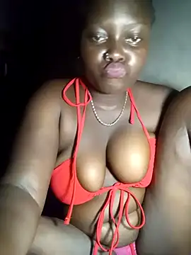 Cute cate online show from 8, 6, 2026