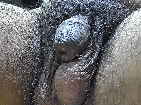 indiboy009 online show from 9, 9, 2025