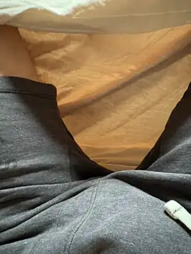 Snapshot of Pierre20cm21ans chatting on 31, 5, 2026 Pierre20cm21ans online show from 31, 5, 2026