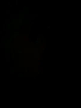 Snapshot of hook9sex chatting on 11, 6, 2026 hook9sex online show from 11, 6, 2026