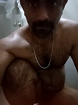 ALLADIN 2589 online show from 17, 6, 2026