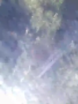 Snapshot of Philebranleur chatting on 6, 7, 2026 Philebranleur online show from 6, 7, 2026