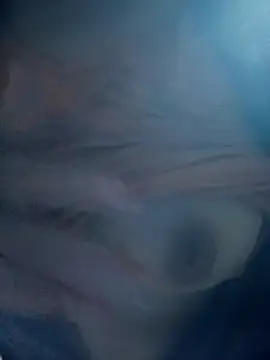 Sena123Sex online show from 24, 7, 2026