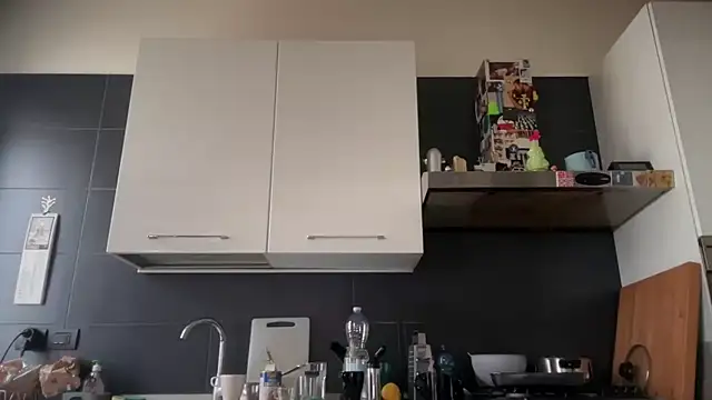 theitalianbear online show from 11, 1, 2025