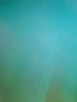 Steveschaw online show from 19, 2, 2025