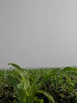 ThethunderPo online show from 3, 2, 2026