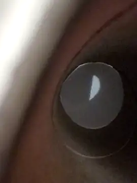 domjoab online show from 17, 1, 2026