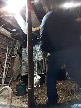 Snapshot of sarpe4 chatting on 19, 2, 2026 sarpe4 online show from 19, 2, 2026