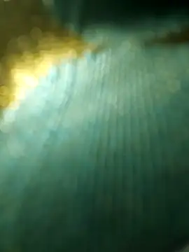 salonidesimaal online show from 4, 12, 2024