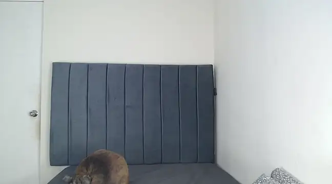 Chanelsexyy online show from 6, 3, 2025