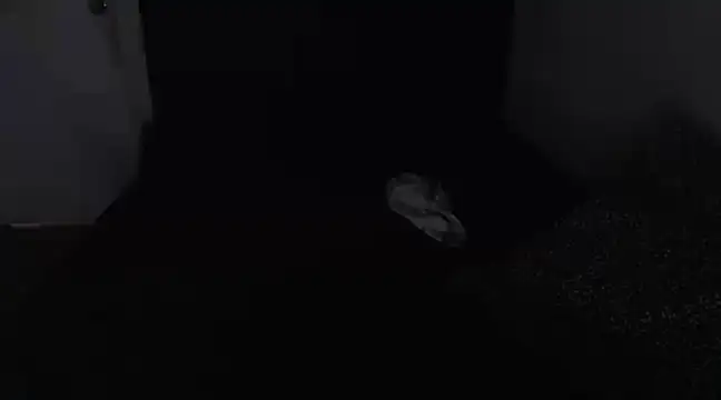 Chanelsexyy online show from 16, 3, 2025