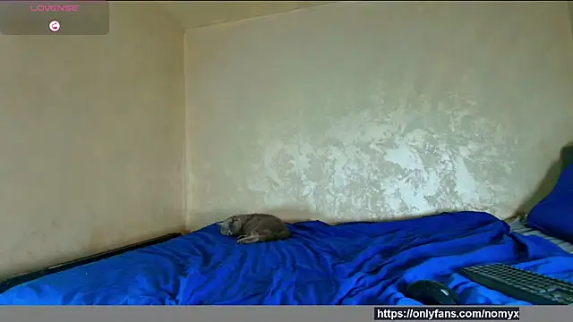 angeliquevany online show from 2, 12, 2025