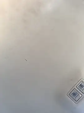 Snapshot of Tristris100 chatting on 23, 12, 2024 Tristris100 online show from 23, 12, 2024