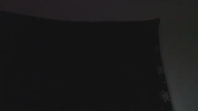 florida0217 online show from 17, 9, 2025