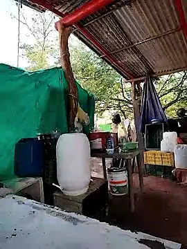 Brenda Berck  online show from 5, 3, 2026