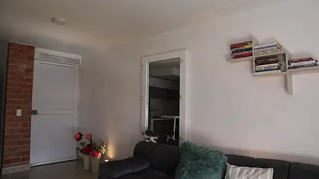  Vahos  online show from 28, 11, 2025