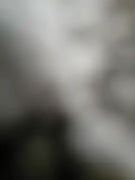 NiceHunter89 online show from 15, 9, 2025