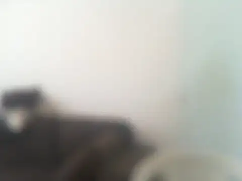 Snapshot of ConradinhoBR50 chatting on 19, 4, 2026 ConradinhoBR50 online show from 19, 4, 2026