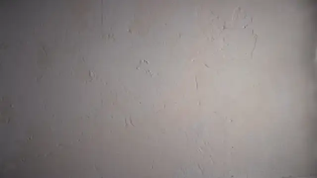 pinkgirls18 online show from 10, 2, 2026