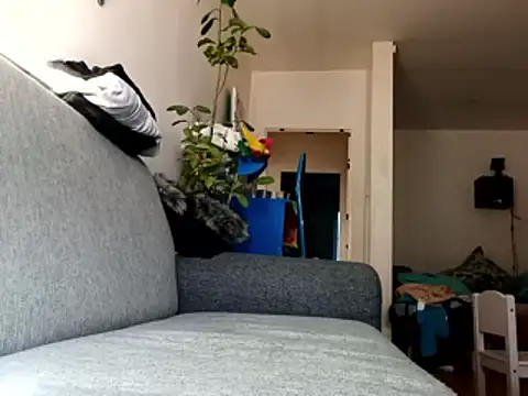 Snapshot of ganjaman871231 chatting on 28, 2, 2026 ganjaman871231 online show from 28, 2, 2026