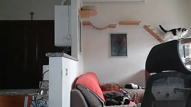 simona60 online show from 9, 2, 2025