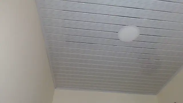 Snapshot of adrixxx38 chatting on 3, 11, 2025 adrixxx38 online show from 3, 11, 2025