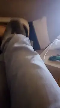 Snapshot of InMeinenMund chatting on 13, 1, 2025 InMeinenMund online show from 13, 1, 2025