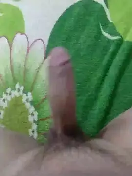 dickbastienweed online show from 30, 1, 2025