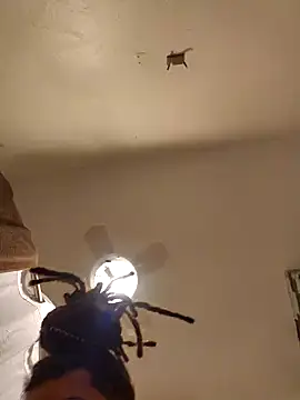 tropikboy online show from 6, 3, 2025