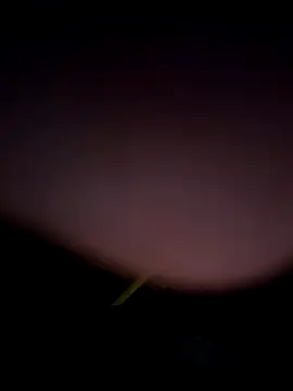 Snapshot of tropikboy chatting on 25, 2, 2026 tropikboy online show from 25, 2, 2026