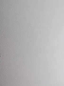 Snapshot of mister-dwt chatting on 12, 10, 2025 mister-dwt online show from 12, 10, 2025