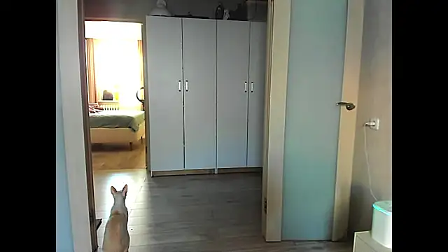 Snapshot of sweeetgirls2021 chatting on 12, 12, 2024 sweeetgirls2021 online show from 12, 12, 2024