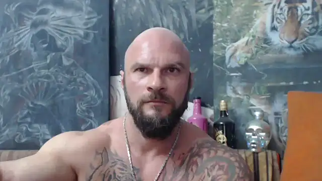 viking 30 online show from 14, 9, 2025