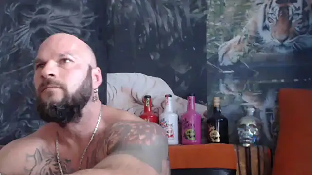 viking 30 online show from 17, 9, 2025