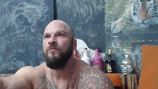 viking 30 online show from 18, 9, 2025