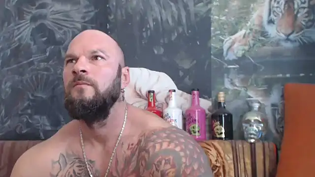 viking 30 online show from 22, 9, 2025